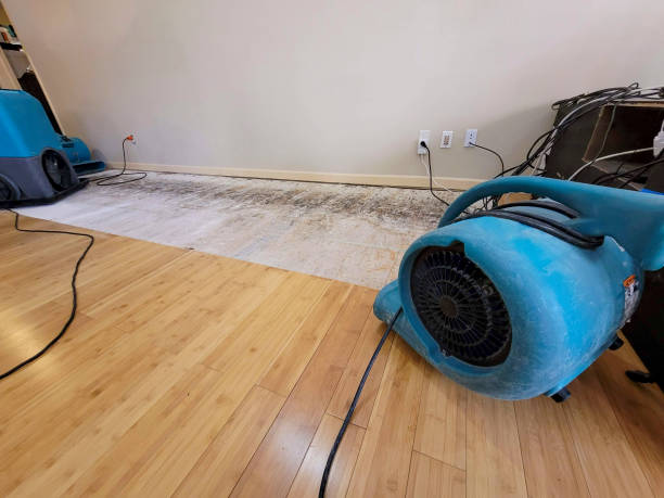 Professional Emergency Water Damage technician working in Perryville, KY